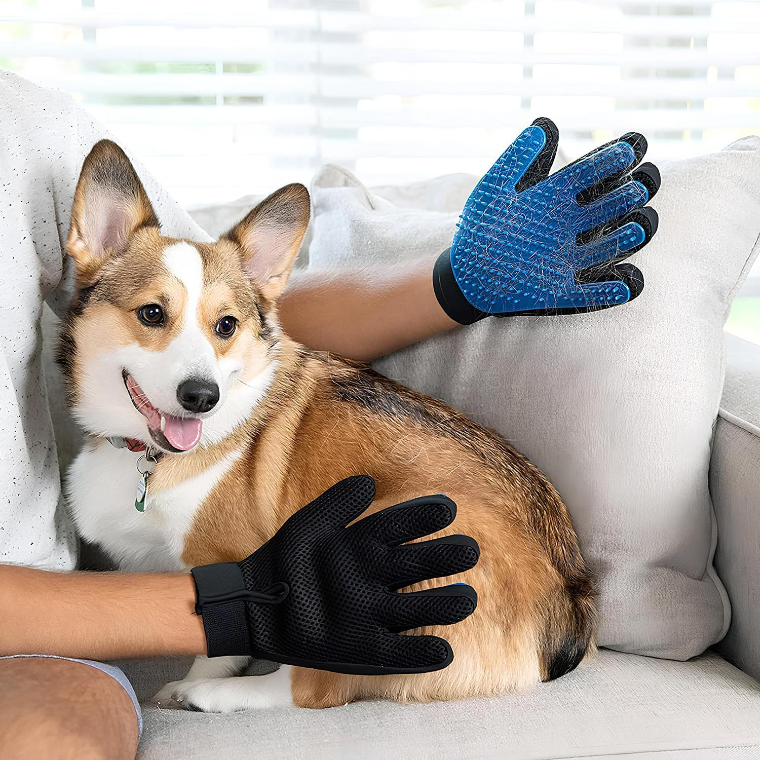 ELK Pet Hair Remover Glove for Gentle Grooming and Deshedding of Cats and Dogs - Soft Silicone Tips for Long and Short Fur - Adjustable Fit (Blue, Right-Hand Glove, 1 Pack)